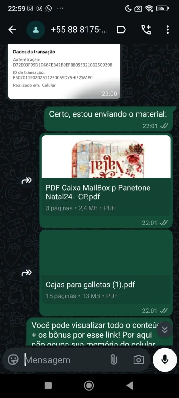 Print do grupo de WhatsApp com o comprovante e os arquivos sendo enviados